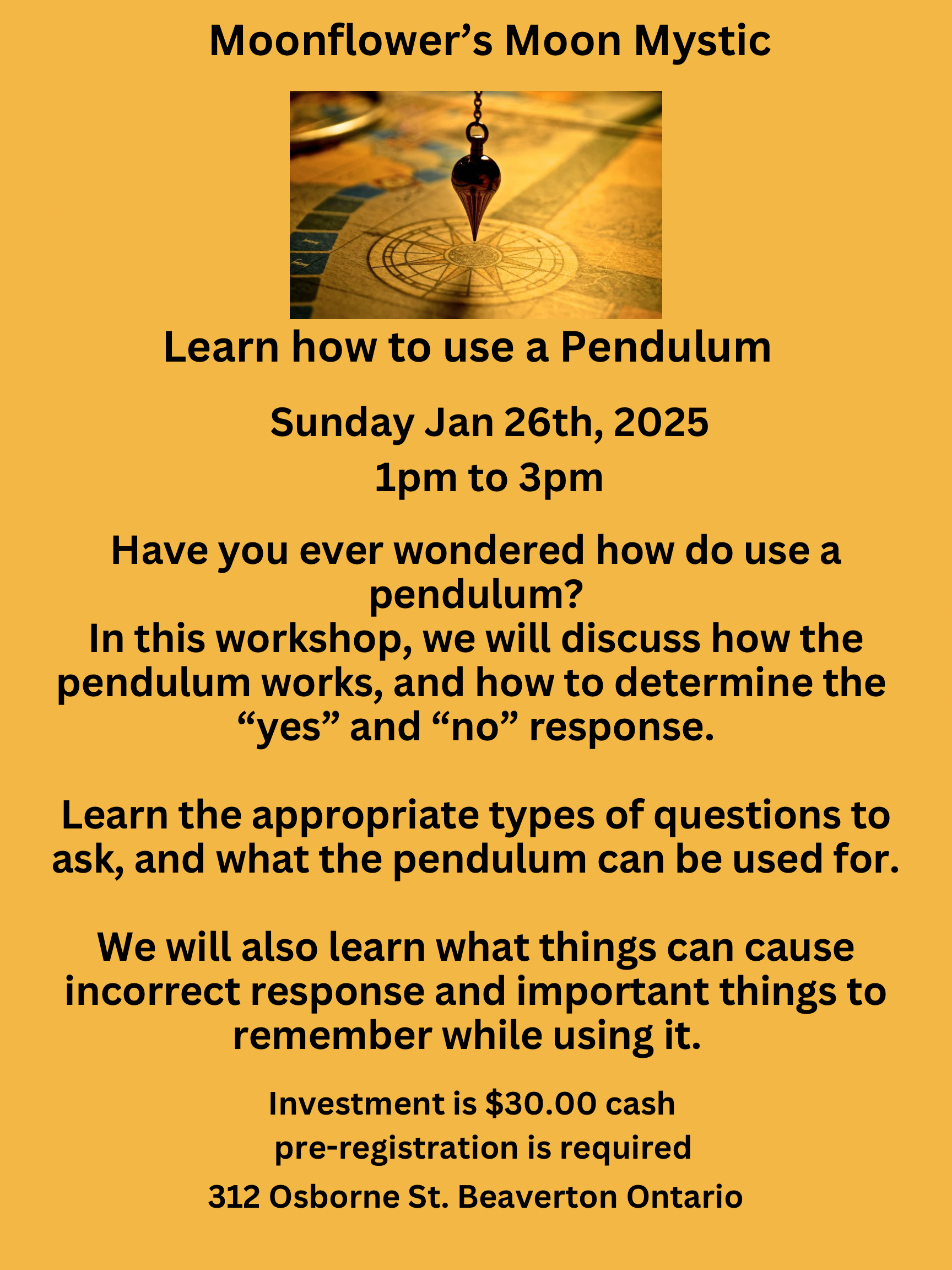 Pendulum Workshop